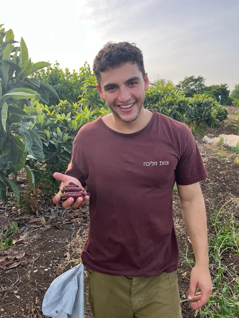 אלעד מיכאל ששון